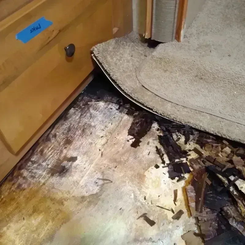 Wood Floor Water Damage in Wildwood, MO